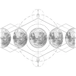 Alignment White Color