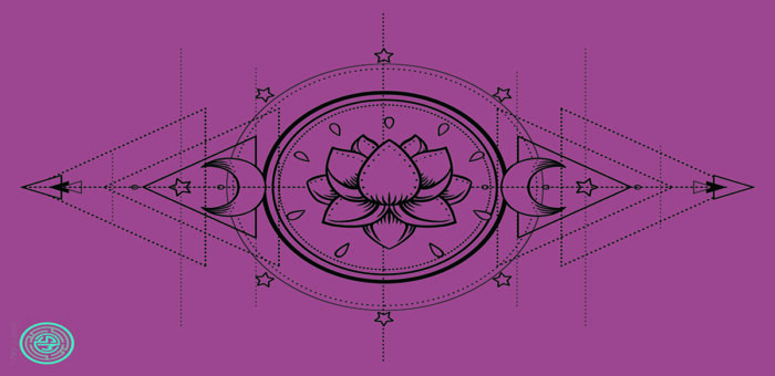 Lotus Purple sportmaze