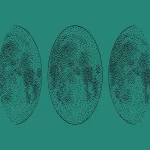 Moon black Persian Green sportmaze