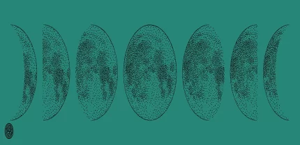 Moon black Persian Green sportmaze